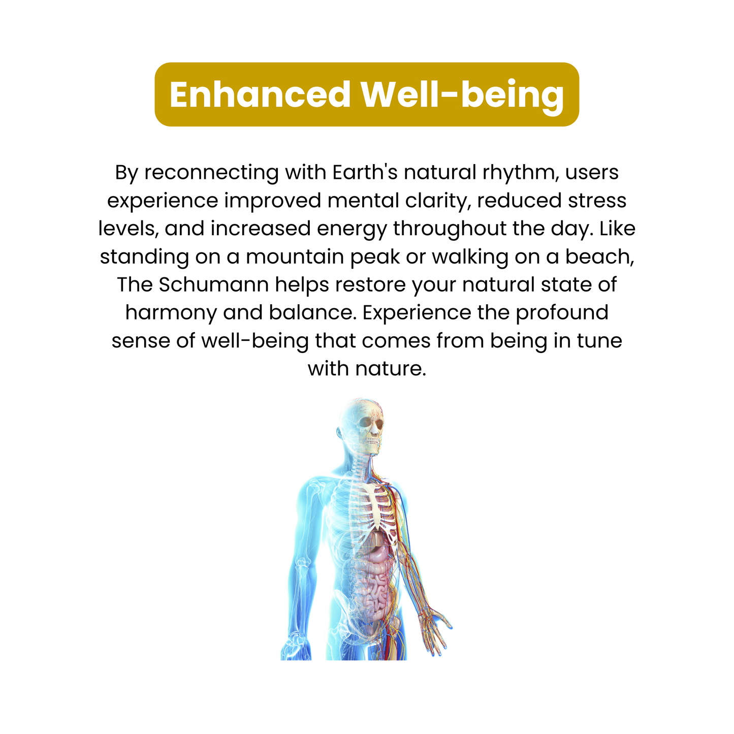 Synt One - Your All-in-One Wellness Solution