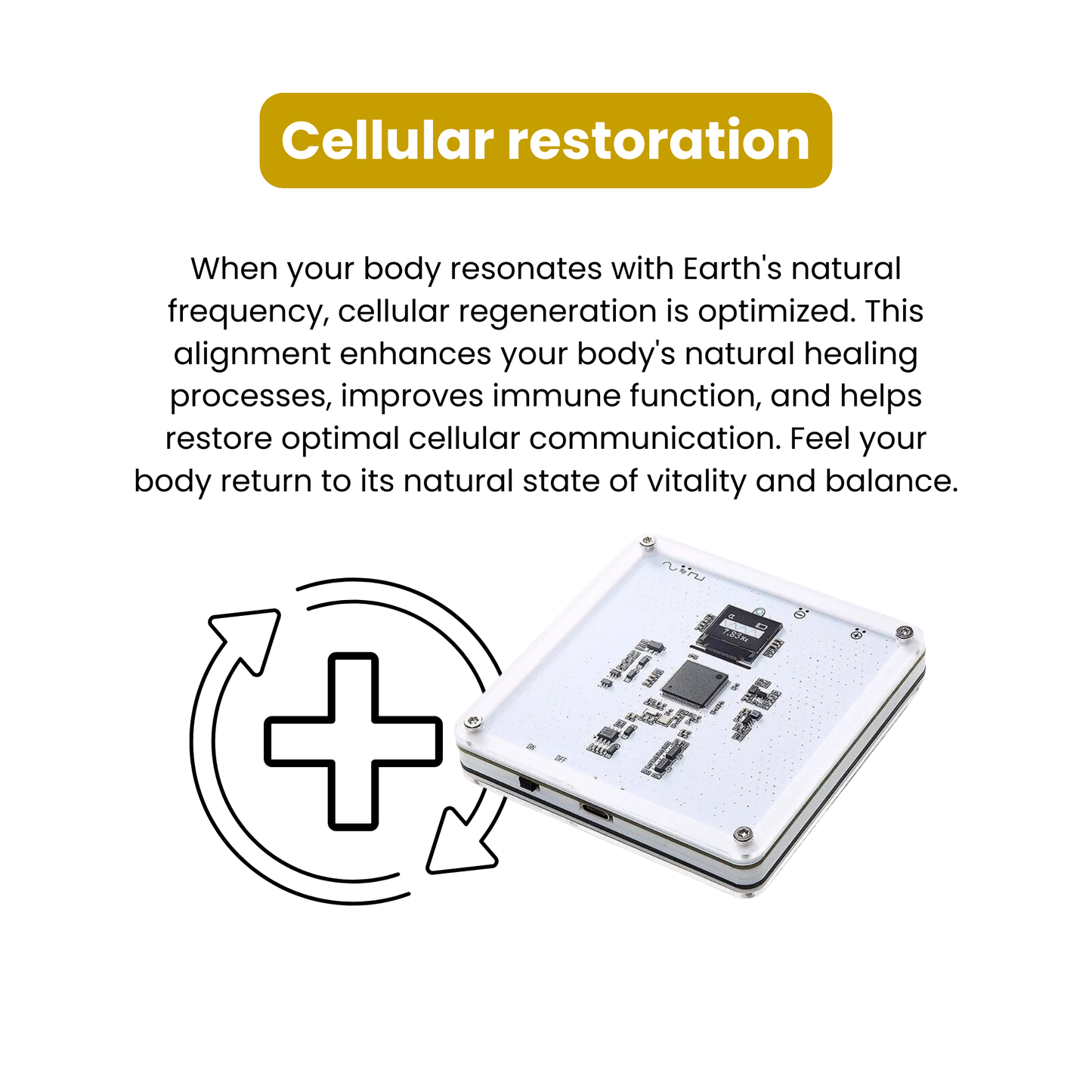 Synt One - Your All-in-One Wellness Solution