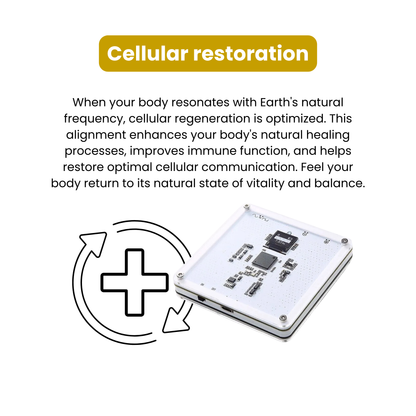 Synt One - Your All-in-One Wellness Solution