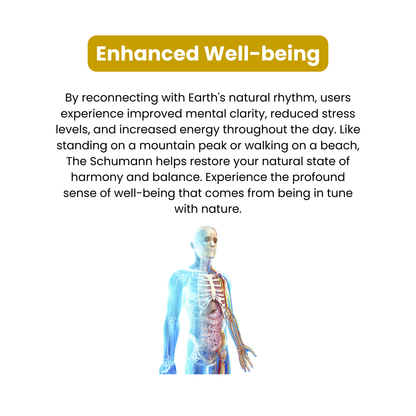 Synt One - Your All-in-One Wellness Solution
